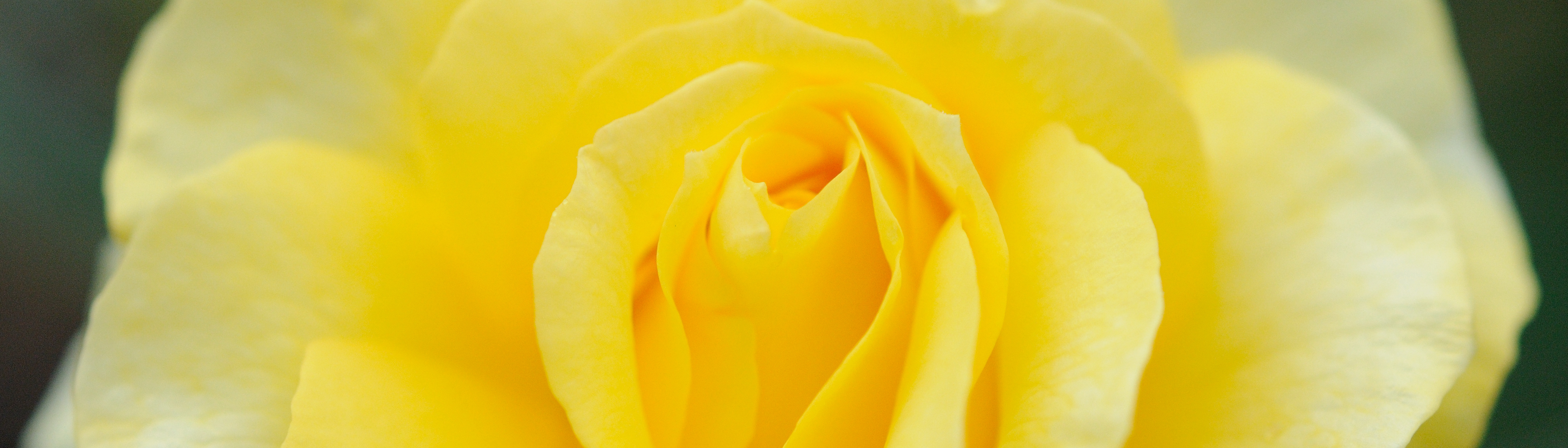 World’s top 2% scientist